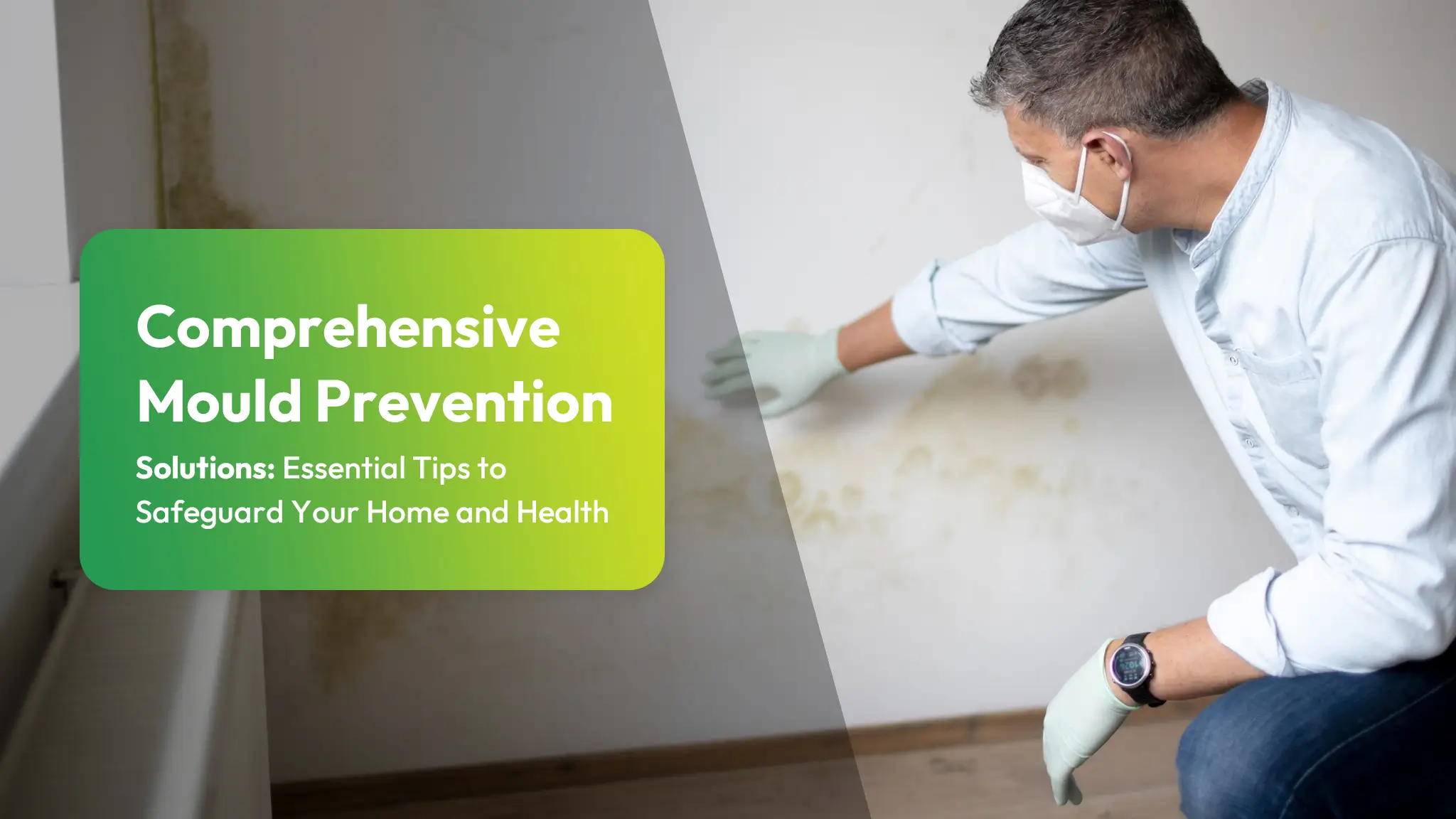 Comprehensive Mould Prevention Solutions Essential Tips to Safeguard Your Home and Health